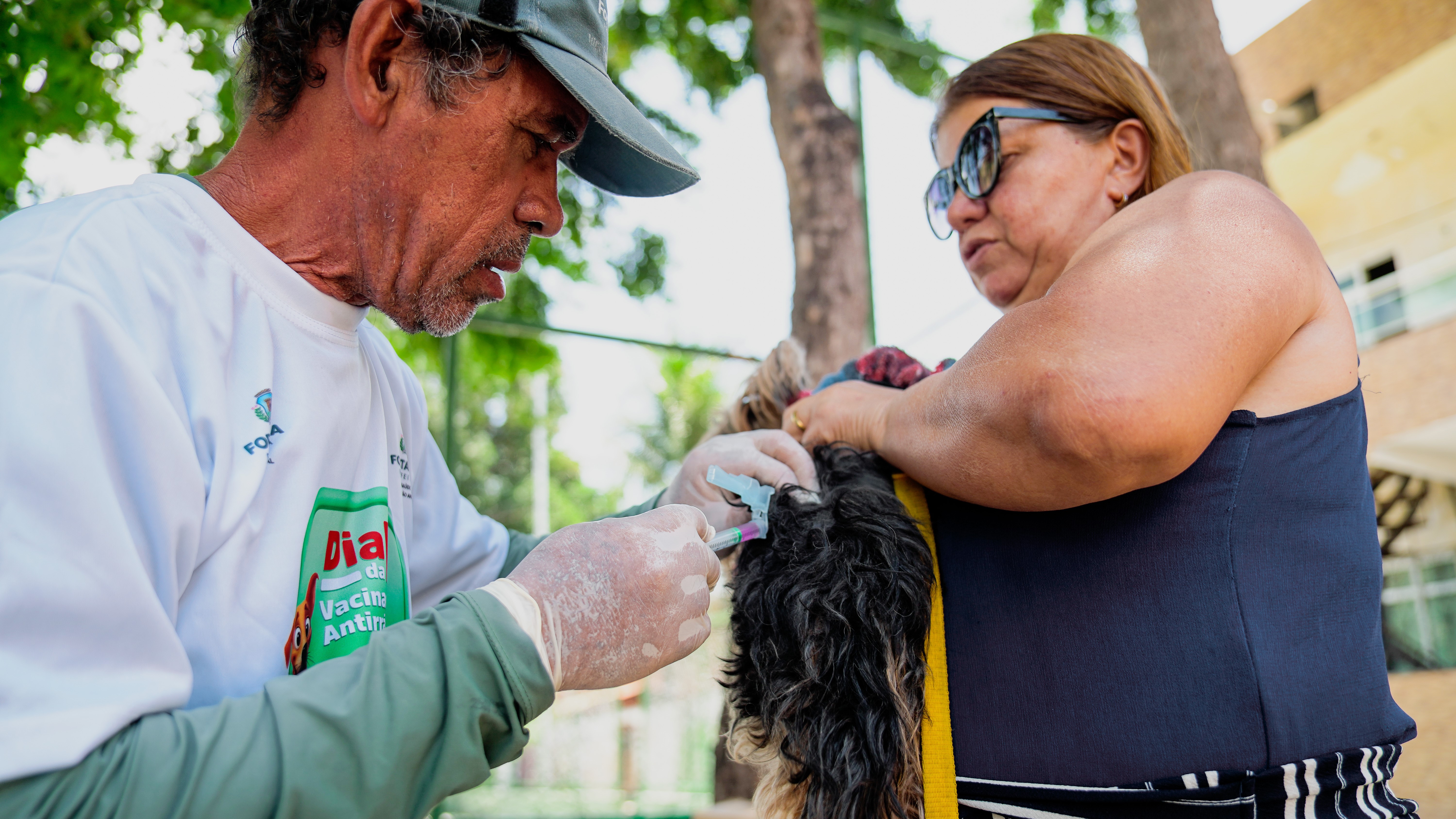 homem vacinando um cachorro